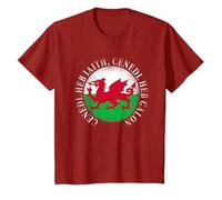 Welsh Flag Proud To Be Welsh Expat Language Cenedl Heb Iaith T-Shirt