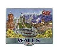 Welsh Fridge Magnet Wales Souvenir Gift Cymru Collage Montage Scenes Landmarks