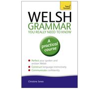 Welsh Grammar You Really Need to Know: Teach Yourself
