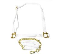 Welsh Show Halter with Chain Lead Rein - White Webbing & Brass Fittings - Adjustable Headcollar for Pony & Cob - Made in the UK (Pony)