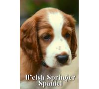 Welsh Springer Spaniel: Dog breed overview and guide