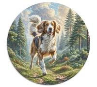 Welsh Springer Spaniel Jigsaw Puzzles Great Gift for Adults 1000 Piece Fun Challenging Home Decoration Brainteasing Cute Animal Jigsaw Puzzle for Adults 1000pcs (67.5x67.5cm)