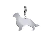 Welsh Springer Spaniel Silhouette Silver Charm