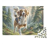 Welsh Springer SpanielJigsaw Puzzle Animal Pet Housewarming Gift Lovers Game Wall Decor Premium 1000 Pieces 70x50cm/1000pcs
