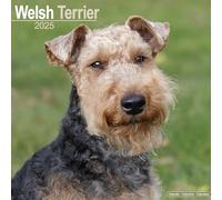 Welsh Terrier 2025 Square Wall Calendar | Dog Breed Calendar