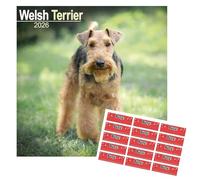 Welsh Terrier Calendar 2026 | 16 months | with FREE Organisational Stickers