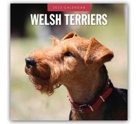 Welsh Terriers 2025 Square Wall Calendar