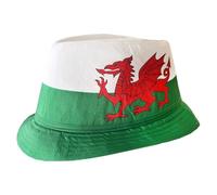 Welsh Trilby Hat for Adults - Green 100% Cotton Wales Cymru Supporter Hat with Bold Red Dragon Print - Unisex Mens Womens Six Nations Rugby Football St David's Day Fancy Dress