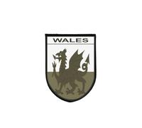 Welsh Wales Camo Flag Patch Print Self-Gripping