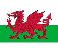 Welsh Wales Cymru Flag Beach bath Towel by welshsuperstore welsh gifts