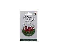 Welsh Wales Cymru Fridge Magnet Sheep Dragon (Cardiff Crystal)