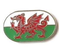 WELSH WALES NATIONAL SYMBOL DRAGON ENAMEL LAPEL PIN BADGE