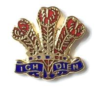 WELSH WALES RED FEATHERS HARD ENAMEL LAPEL PIN BADGE