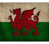 Welsh Wales Wale Flag Vintage Tin Metal Sign Wall Plaque 8X12 Inch