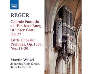 Welzel - Max Reger: Introduktion und Passsacaglia in d moll