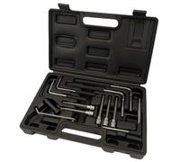 Welzh Werkzeug Heavy Duty Air Bag Removal Kit 44202-Ww