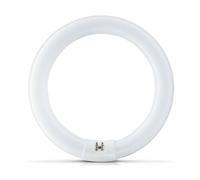 WEMLITE Plus Lamp 22w Circular Fly Killer Insectocutor Fluorescent Tube