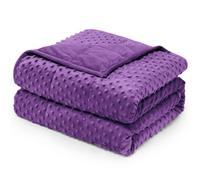 Wemore Minky Dot Weighted Blanket for Adults Queen Size 12 lbs, Soft Cozy Heavy Blanket for Bed and Couch, Breathable Blanket for All-Season with Glass Beads, Purple 60 x 80 inches