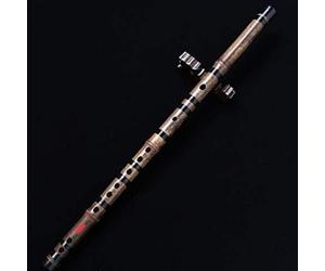 WEN-dizi Chinese Dizi Black Bamboo Flute Professional Playing Flute Musical Instrument C/D/E/F/G Tune,D,Picturesque234