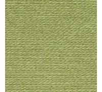 Wendy Supreme 100% Acrylic Double Knitting 100g Balls (WD26 Pistachio)