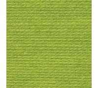 Wendy Supreme 100% Acrylic Double Knitting 100g Balls (WD58 Lime)