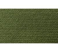 Wendy Supreme Aran 100g Ball Knitting/Crochet (SA60 Mint, 1 Ball)