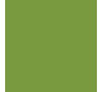Wendy Vecchi Wendy DYE REINKERS Leaf Green, Small