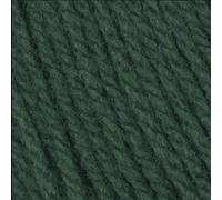 Wendy with Wool Aran 20% Wool 400g Pine (Green) 5519