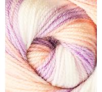 Wendy Wools Giggles Rainbow Double Knitting 100g Ball Multicoloured (WG19)