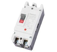 Wengart 80A DC MCCB Circuit Breaker, 2-Pole 550VDC Solar PV Isolator, High-Rupture Capacity Battery Main Switch for Off-Grid Systems & Energy Storage (ESS), WGM1PV-125