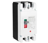 Wengart DC MCCB Circuit Breaker for Solar PV Installers & ESS Storage DIYers, Battery Bank Short-Circuit Arc Flash&Soft MCB Meltdown Faff,2-Pole 500V 125A Switch with 10kA Breaking Capacity