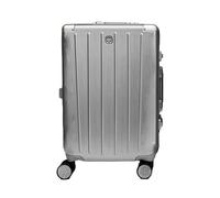 Wenger Loady Hard Shell Suitcase with Silent Double Spinner Wheels, Travel Sentry Locks, Travel Trolley for Holidays & Business, Unisex, Silver, Large