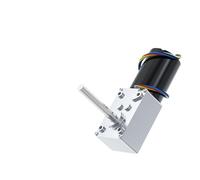 WENH 5840-3650 Turbine Worm Reduction Motor 12V/24V Single Long Axis Forward And Reverse Adjustable Speed 6RPM~470RP Brushless Motor(80RPM_12V SINGLE MOTOR)