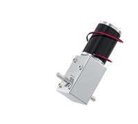 WENH 5882-50ZY Worm Gear Drushed DC Motor 12V24V Forward And Reverse Adjustable Speed 1.5RPM~440RPM High Torque Bual Output Shaft(12RPM_12V SINGLE MOTOR)