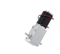WENH 5882-50ZY Worm Gear Reduction Motor 12V24V Forward And Reverse Adjustable Speed 1.5RPM~440RPM Dual Output Shaft Brushed(35RPM_12V BRACKET MOTOR)