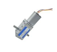WENH JGY-2430 Double Shaft DC 12V 24V Brushless Electric Motor Worm Gear Motor(25RPM_12V)