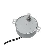 WENH TYC50 / 50TYZ TYJ50 Permanent Magnet Synchronous Motor AC220V 50/60Hz Gear(15RPM)