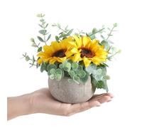 Wenhuidr Artificial Flowers Kit with Pot, Combination of Fake Silk Sunflowers and Greenery, Faux Small Plant Potted with Eucalyptus Leaves for Offices Bookshelf Home Room Party Wedding Decorations