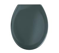 Wenko 19657100 Premium toilet seat Ottana Dark Grey EasyClose soft closing mechanism, rustproof FixClip hygienic stainless steel mounting, antibacterial, Plastic Duroplast, 37.6 x 45.2 cm, Grey Dark grey