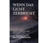 WENN DAS LICHT ZERBRICHT: Dunkle Landschaften und gebrochene Lichter (Im Atem der Zeit)