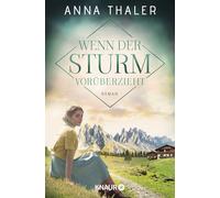 Wenn der Sturm vorüberzieht: Roman