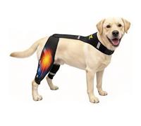 WENQUSEN Dog Knee Brace for Back Leg with Built-in Spring Support (XL)