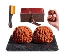 Wenwan Walnut Set with Box & Brush, 2PCS Chinese Walnuts Hand Massage, Natural Jade Walnuts for Stress Relief Anxiety, Wen Wan Walnuts Fidget for Finger Exercise Therapy (A,1.6in)