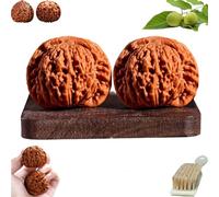 Wenwan Walnuts, Chinese Walnut Fidget for Hand Massage & Stress Relief, Natural Solid Wood Hand Exercise Balls, Traditional Health Care Gift for Elderly & Meditation (A-Original Color, 43-44mm)