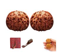 Wenwan Walnuts for Hand Training & Massage - Natural Chinese Walnuts as a Fidget Stress-Relief Ball - Traditional Massage Ball for Finger Flexibility & Gift for Seniors (B,40-41 mm)