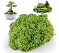 WENXINWIN Artificial Moss, 200g of Fake Moss, Artificial Moss for Indoor Plant Pots, Crafts, Decor, Model Making, Landscaping & More(Light Green)