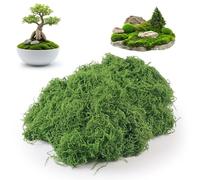 WENXINWIN Artificial Moss, 60g of Fake Moss, Artificial Moss for Indoor Plant Pots, Crafts, Decor, Model Making, Landscaping & More(Dark Green)