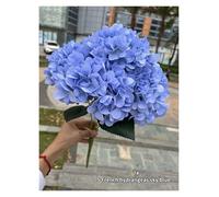 WENYOG Hydrangea artificial flowers Large Size 5 Heads Artificial Flowers White Pink Hydrangea Silk DIY Wedding Bridal Bouquet Fake Flowers Home Party Decoration(Blue1)