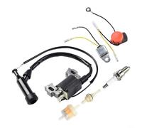 wenyouya for IGNITION Coil for MAGNETO Set for GX110 G-X120 GX140 GX-160 G-X200 5.5HP 6.5HP Engines with Switch Fuel Filter Low Oil Sensor Compatible Parts 30500-ZE1-013