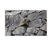 WEOKDFHA Fish Tank Background 1Roll 3D Effect Black Stone Aquarium Background Poster HD Rock Self Adhesive Fish Tank for Fish Tank Decoration(RED COLOR,41x61cm)